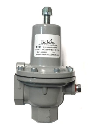 BelGAS P289 1" Inlet and Vent, Back Pressure Regulator / Relief Valve