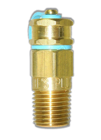 Pete's Plug - Pressure and Temperature Test Plug 1/2"MNPT x 1-1/2" Length